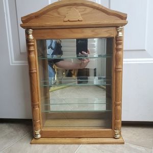 Glass and Mirrored Wall Display Case
